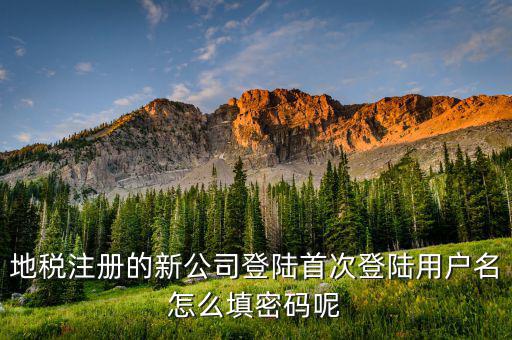 地稅登錄名密碼是什么，地稅申報(bào)的用戶(hù)名和密碼是什么