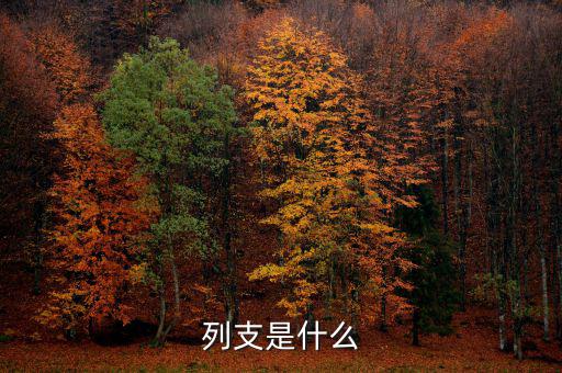 賠付支出能列支什么意思，列支是什么意思