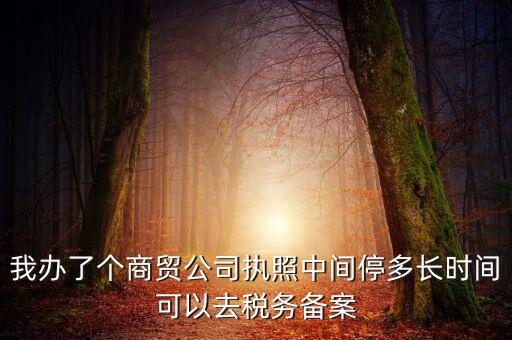 我辦了個商貿公司執(zhí)照中間停多長時間可以去稅務備案
