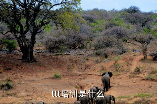納稅人學(xué)堂培訓(xùn)干什么，去各種培訓(xùn)班做老師有前途么