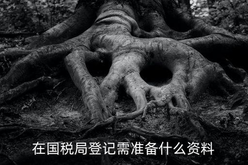 稅務登記備什么，在國稅局登記需準備什么資料
