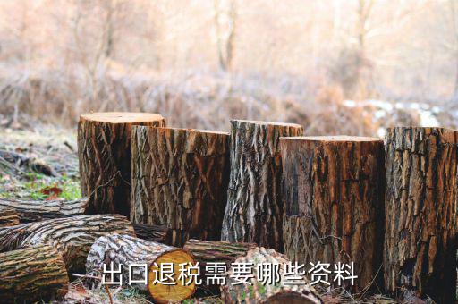 外貿(mào)退稅需要什么資料，出口退稅需要哪些資料