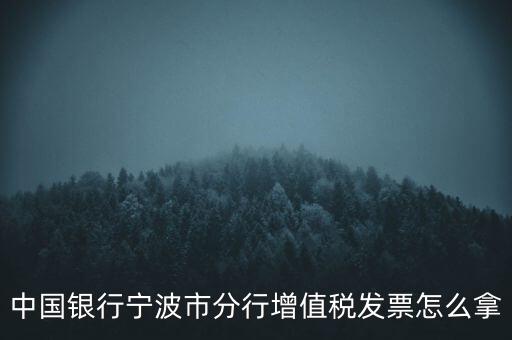 寧波國(guó)稅過(guò)發(fā)票要帶什么，浙江地區(qū)公司首次拿發(fā)票去國(guó)稅局需要帶什么證件