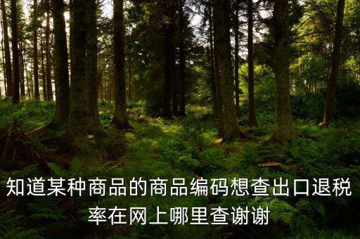 什么網(wǎng)站能查到退稅率，有沒(méi)有查詢(xún)出口退稅率的網(wǎng)址