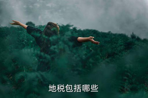 地方稅包括什么稅，地稅包括哪些