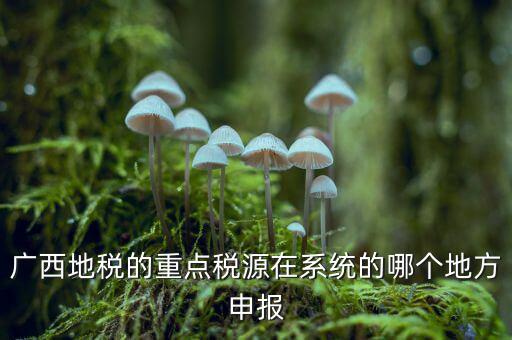廣西地稅的重點稅源在系統(tǒng)的哪個地方申報