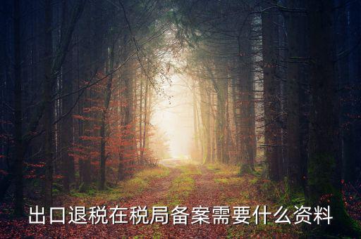 出口退稅備份什么格式，出口退稅單證備案