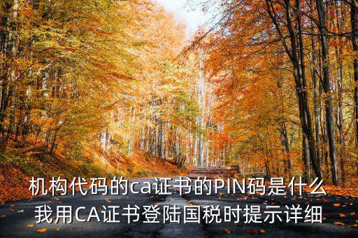 國(guó)稅ca證書登錄 密碼是什么，國(guó)稅第一次網(wǎng)上申報(bào)的登陸密碼是什么