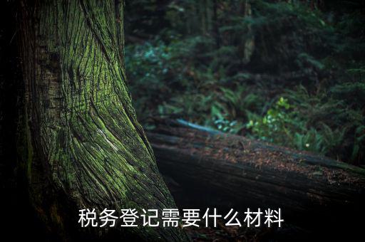 稅務辦理需要什么東西，辦理稅務登記證都需要帶什么東西