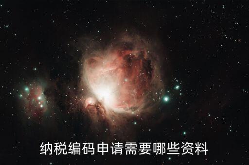 預(yù)約繳稅號(hào)需提供什么資料，納稅編碼申請(qǐng)需要哪些資料