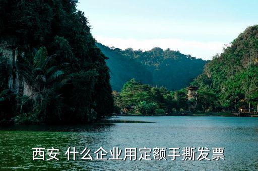 陜西省用什么定額發(fā)票，西安 什么企業(yè)用定額手撕發(fā)票