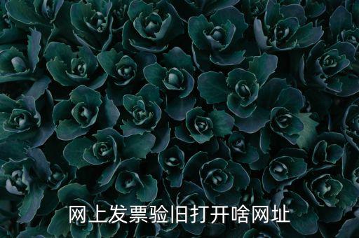 山東省網(wǎng)絡(luò)開票網(wǎng)址是什么，網(wǎng)上發(fā)票驗(yàn)舊打開啥網(wǎng)址