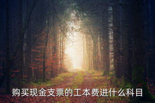 發(fā)票工本費(fèi)什么科，買支票的工本費(fèi)和手續(xù)費(fèi)分別進(jìn)什么科目