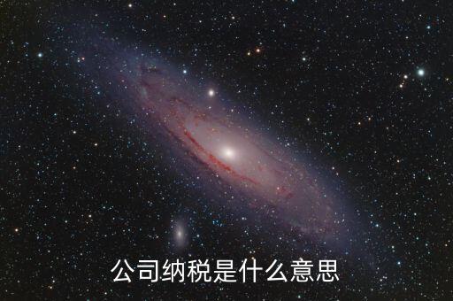 企業(yè)納稅是指什么，企業(yè)交稅是什么意思