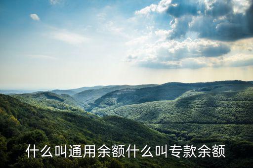 通用余額 專用余額是什么意思，專用余額啥意思