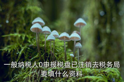 注銷金稅盤需要帶什么資料，請(qǐng)問注銷稅務(wù)登記需要提供哪些資料