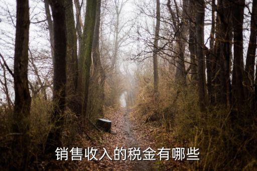 銷(xiāo)售交什么稅，銷(xiāo)售收入的稅金有哪些