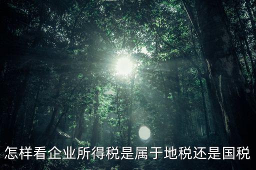 所得稅屬于什么稅，所得稅包括什么稅