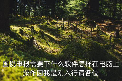 寶雞國(guó)稅用的什么軟件報(bào)稅，寶雞報(bào)稅怎么報(bào)