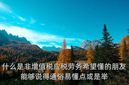 非增值稅應(yīng)稅勞務(wù)什么意思，什么是非增值稅應(yīng)稅勞務(wù)希望懂的朋友能夠說得通俗易懂點或是舉