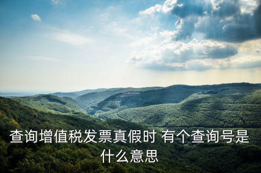 陜西省發(fā)票查詢(xún)號(hào)是什么意思，電子發(fā)票號(hào)碼是什么意思