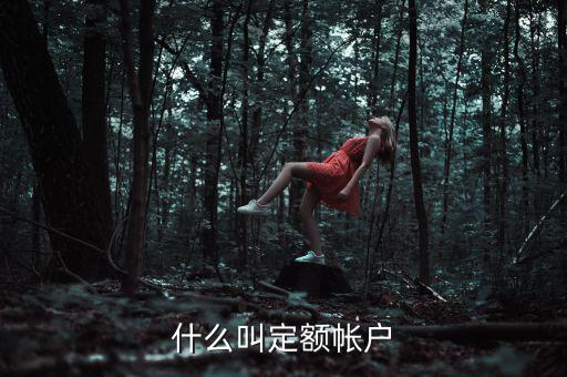 國稅的定期定額戶是什么意思，國稅買票需要定稅或建賬是什么意思