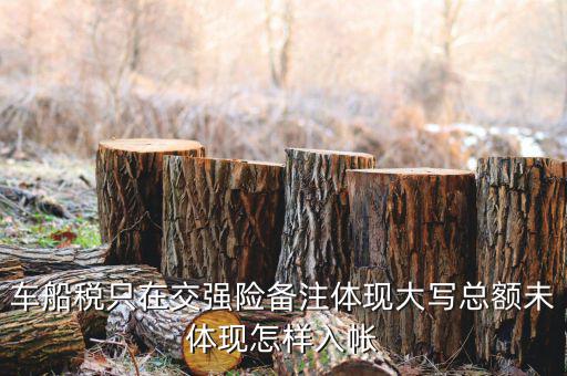 車船稅 為什么只備注，保險(xiǎn)公司代收的車船稅稅款是填在備注欄里的么