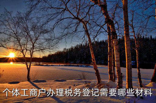 個(gè)體工商戶(hù)辦理稅務(wù)登記需要哪些材料