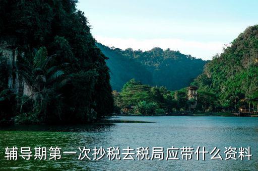 去稅務局抄稅需要帶什么，去稅務局抄稅帶哪些