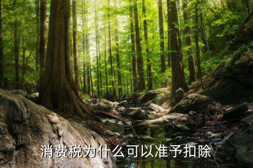 外購的汽油柴油消費(fèi)稅為什么可抵扣，cpa稅法中15年真題外購汽油90用于公司運(yùn)送旅客可以抵扣90