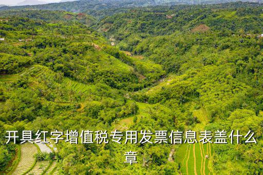 發(fā)票章什么樣子，開具紅字增值稅專用發(fā)票信息表蓋什么章