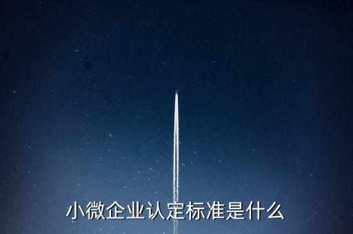 小微企業(yè)包括什么條件，小微企業(yè)的標準是什么