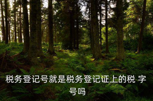 稅務(wù)登記證是什么字體，稅務(wù)登記證上的這是什么字體
