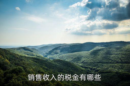 銷(xiāo)售收入的稅金有哪些