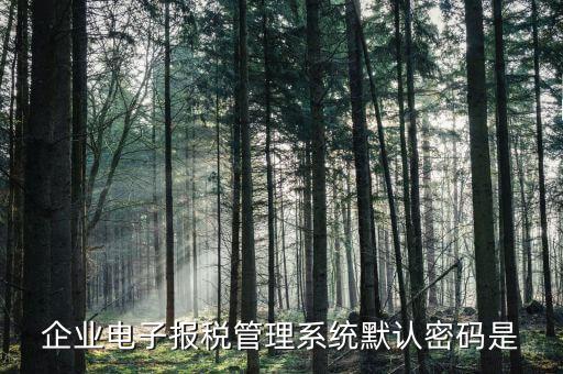 電子稅務(wù)局的初始密碼是什么，稅務(wù)局網(wǎng)站的登入賬戶(hù)初始密碼是什么