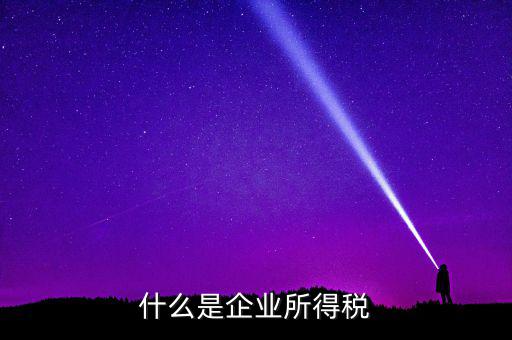 什么是公司所得稅，企業(yè)所得稅是什么意思