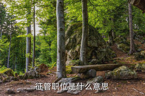 稅政 征管業(yè)務(wù)崗是什么，縣國稅局里面的業(yè)務(wù)科的主要職能是什么平時都做什么工作哪位