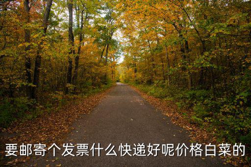 深圳國(guó)稅發(fā)票是寄什么快遞，寄發(fā)票用什么快遞
