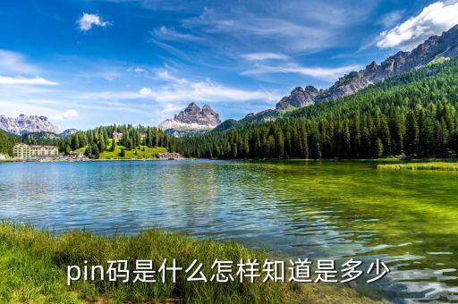 稅控盤pin碼是什么意思，pin碼是啥碼