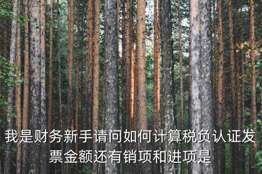 認證業(yè)務是什么稅種，一般納稅人認證企業(yè)每個月最低要繳多少稅有哪些稅新注冊公司是