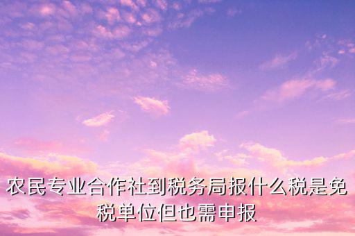 農(nóng)村合作社交什么稅，農(nóng)民合作社每個(gè)月要申報(bào)什么稅