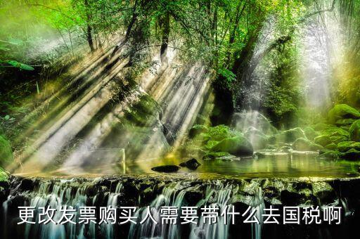 更改發(fā)票價(jià)格需要帶上什么東西，變更發(fā)票購買人需要帶什么東西去稅務(wù)局