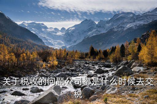 每個(gè)什么時(shí)候交稅，關(guān)于稅收的問題公司都是什么時(shí)候去交稅