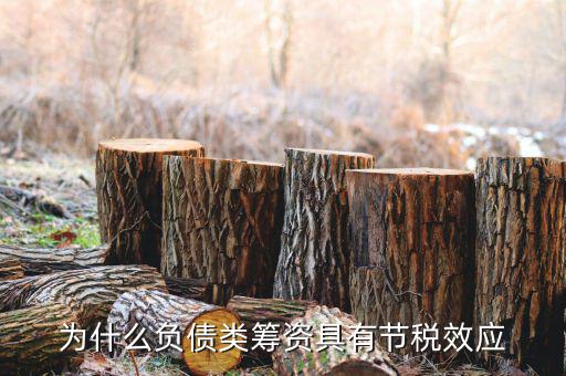什么是節(jié)稅，為什么負(fù)債類籌資具有節(jié)稅效應(yīng)