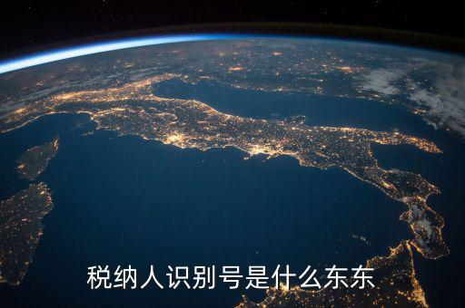企業(yè)稅務(wù)識別號是什么意思，稅納人識別號是什么東東