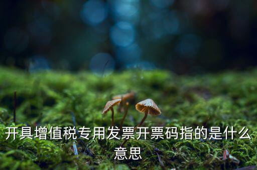 開(kāi)具增值稅專(zhuān)用發(fā)票開(kāi)票碼指的是什么意思
