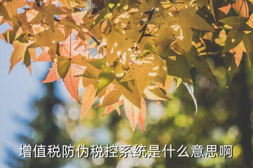防偽稅控一體話(huà)是什么意思，什么是防偽稅控