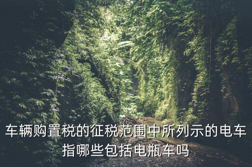 有軌電車征收什么稅，車輛購置稅的征稅范圍中所列示的電車指哪些包括電瓶車嗎