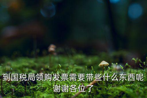 國(guó)稅局領(lǐng)票帶什么東西，去稅務(wù)局領(lǐng)發(fā)票需要帶什么資料去
