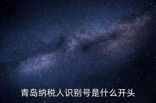 納稅人識別號什么開頭，納稅人識別號330100開頭的是哪個地方的